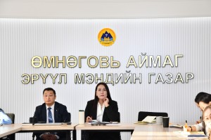 ЭРҮҮЛ МЭНДИЙН ГАЗРЫН ХЭЛТЭС, МЭРГЭЖИЛТНҮҮДИЙН 2025 ГҮЙЦЭТГЭЛИЙН  ТАЙЛАНГИЙН ХУРЛЫГ ЗОХИОН БАЙГУУЛЛАА.
